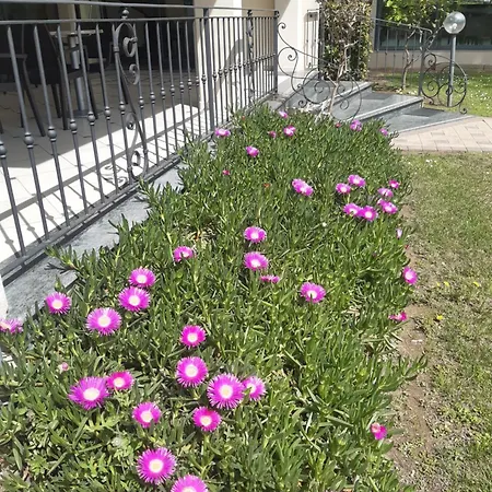 Flora Hotel 3*